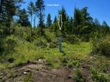 3634 25 Hwy - Photo 4