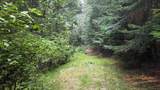 334 Sanham Ln - Photo 42
