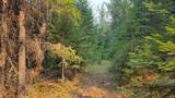 334 Sanham Ln - Photo 43