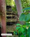 36019 Milan-Elk Rd - Photo 40