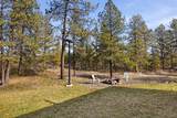 26216 Carman Ln - Photo 38