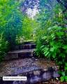 36019 Milan-Elk Rd - Photo 39