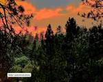 36019 Milan-Elk Rd - Photo 42