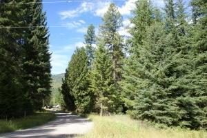15XX Bohanan Rd - Photo 1