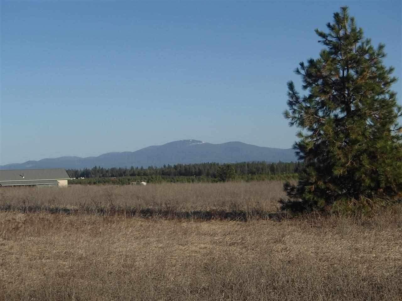 402xx Sherman Rd - Photo 1