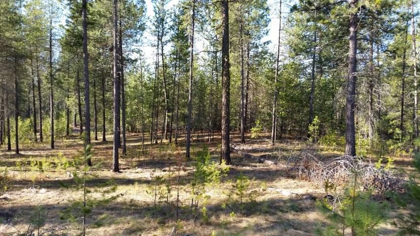 000 Denison Chattaroy Rd - Photo 1