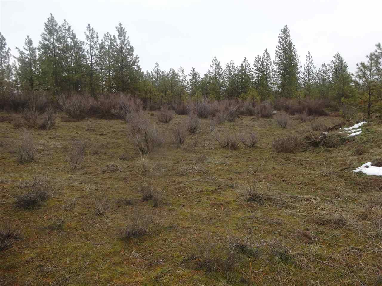 40050 Big Sky Ln - Photo 1
