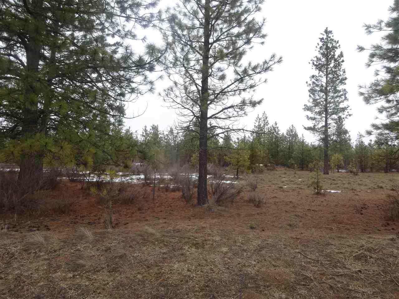 40100 Big Sky Ln - Photo 1