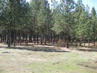 LOT B Lake Roosevelt/Gifford Ferry - Photo 1