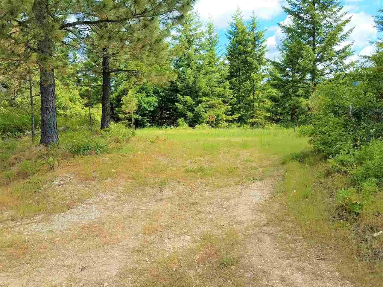 168XX Cougar Ln - Photo 1