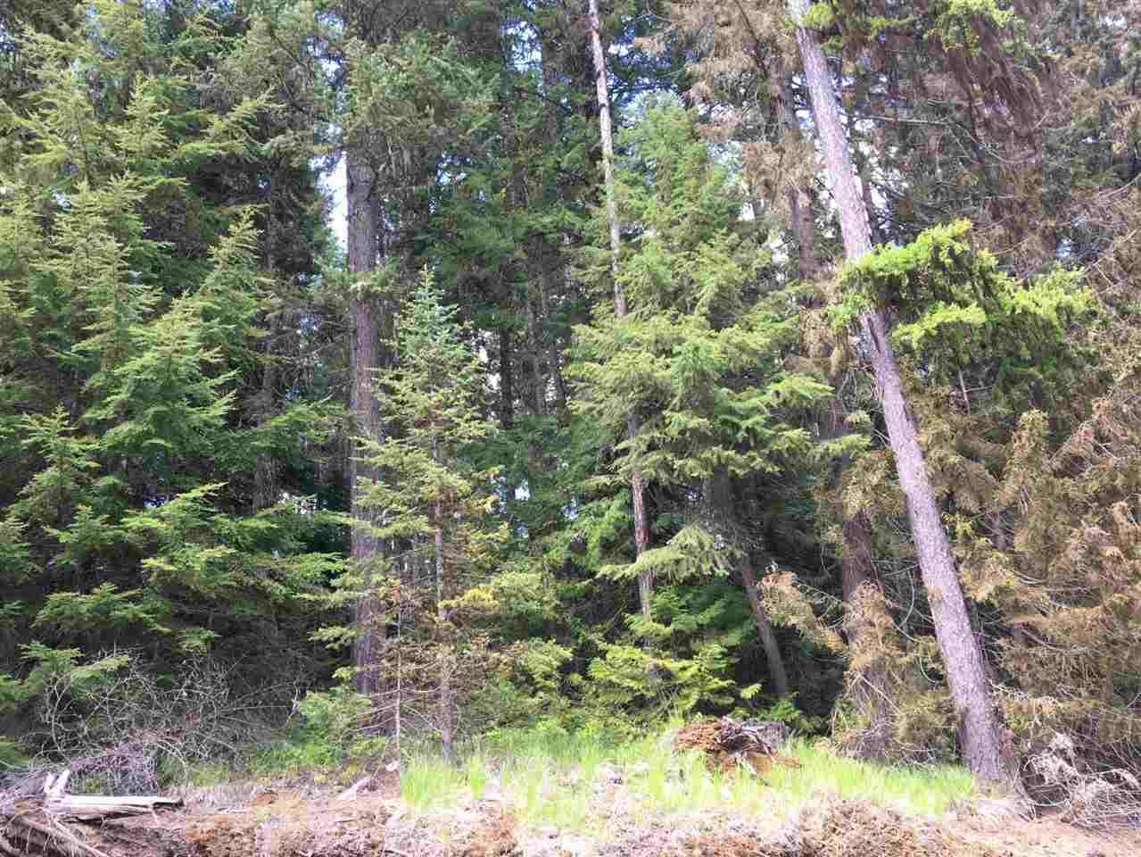 TBD Tamarack - Photo 1