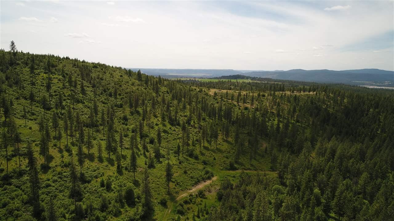 000 Happy Hill Rd - Photo 1