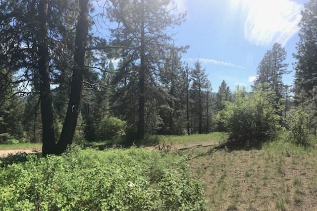 4603 East Deer Lake Rd - Photo 1