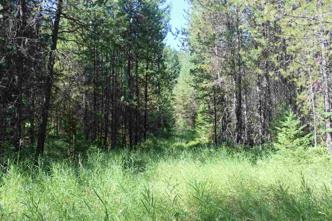342 B 20 Hwy - Photo 1