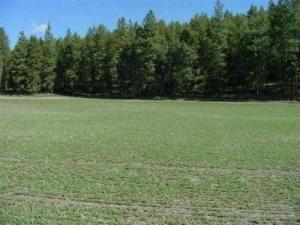 1796-B Marble Valley Basin Rd - Photo 1