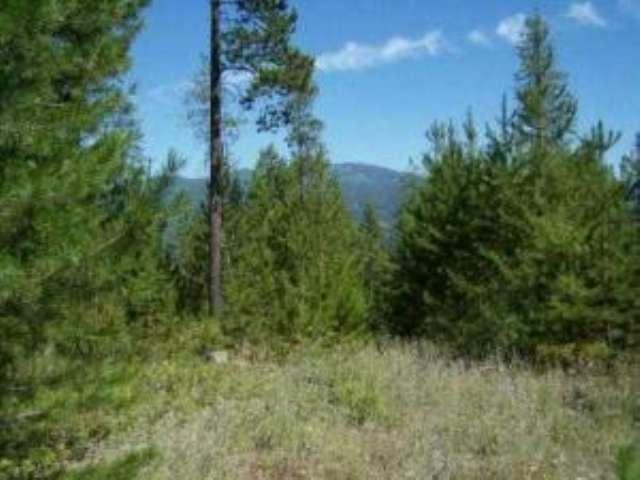 Lot 9 Greenhouse Rd - Photo 1