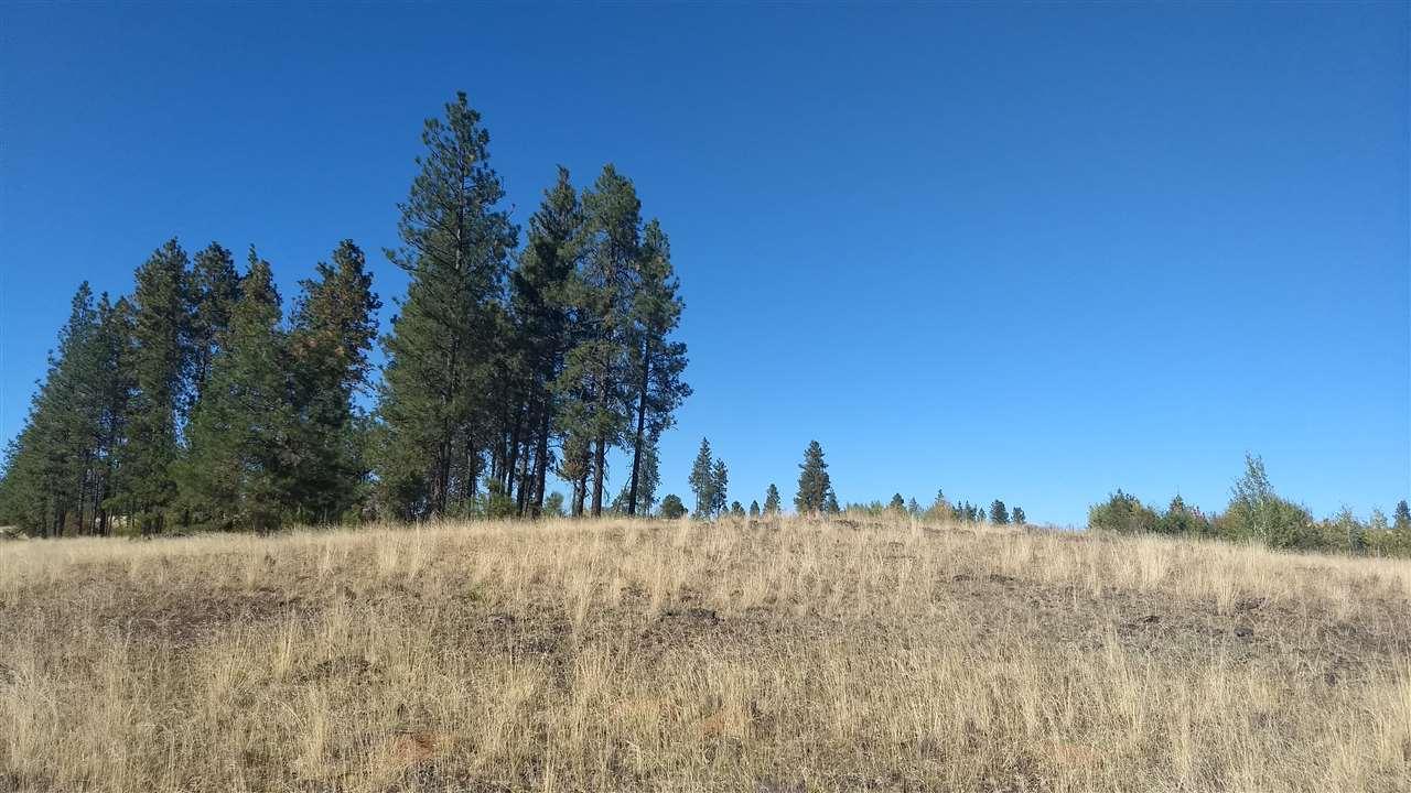 NNA Gordon Rd - Photo 1