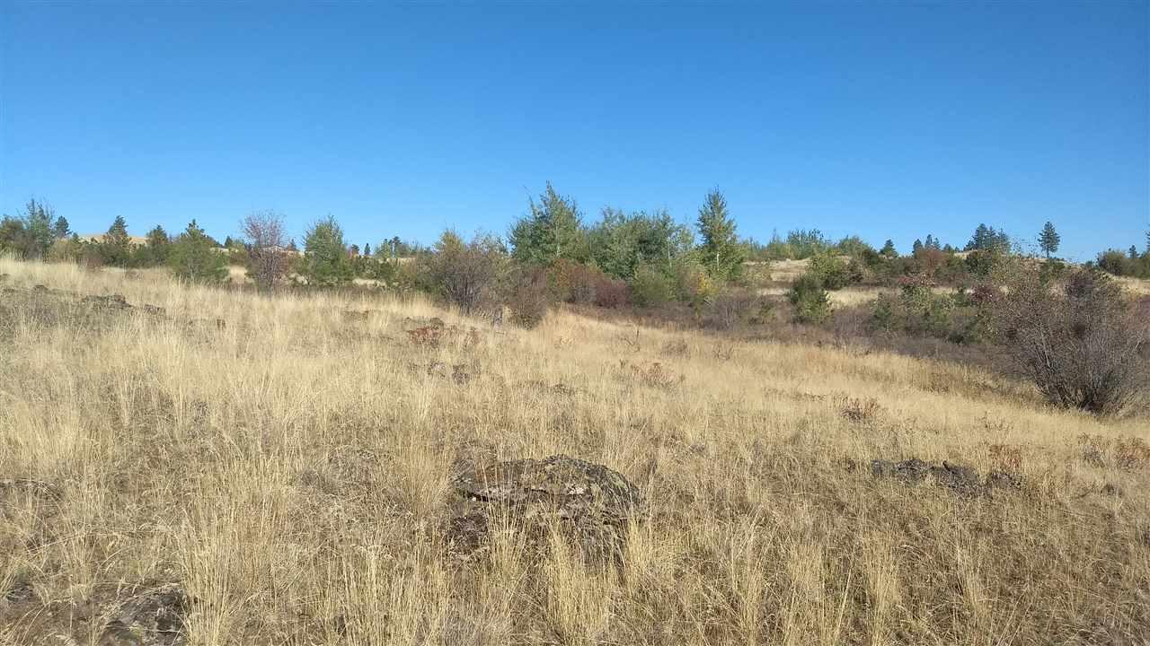 NNA Gordon Rd - Photo 1