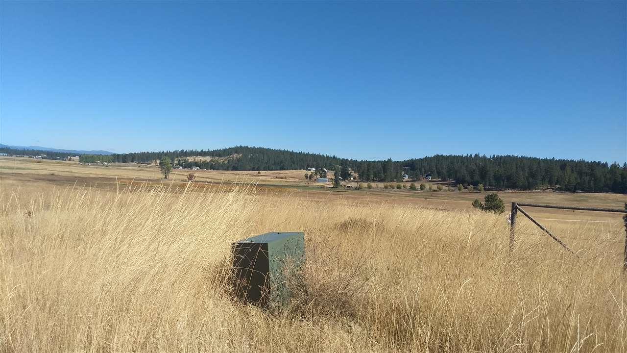 5191 Elk Meadow Way - Photo 1
