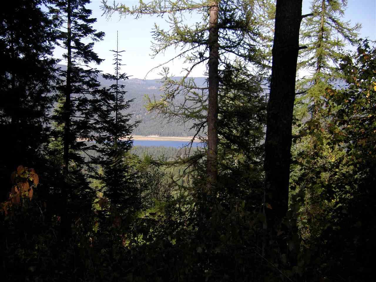 11600 Judkins Rd - Photo 1
