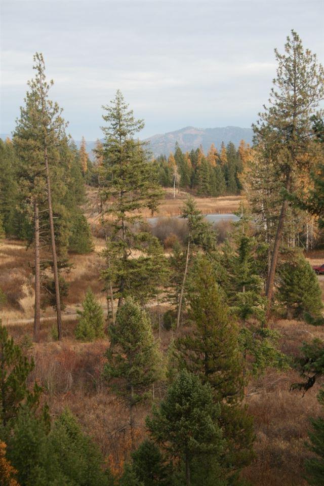 000 Little Sweden Rd - Photo 1