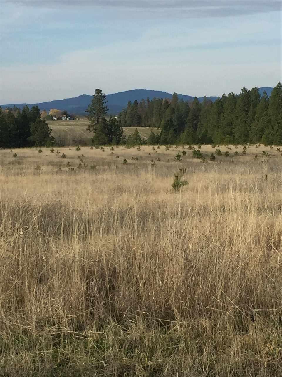 000 Ziegler Ln - Photo 1