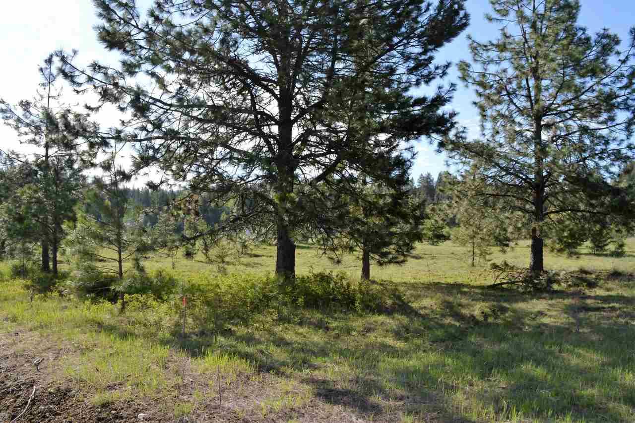 20 Spring Haven Dr - Photo 1