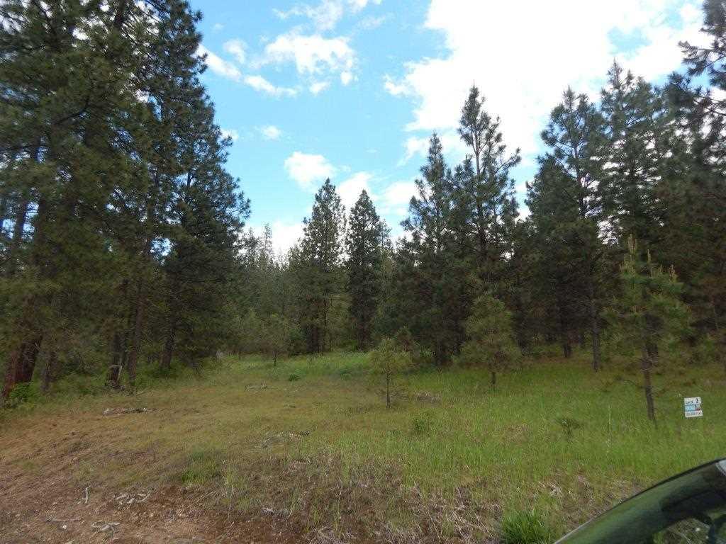 TBD Wolf Track Way - Photo 1