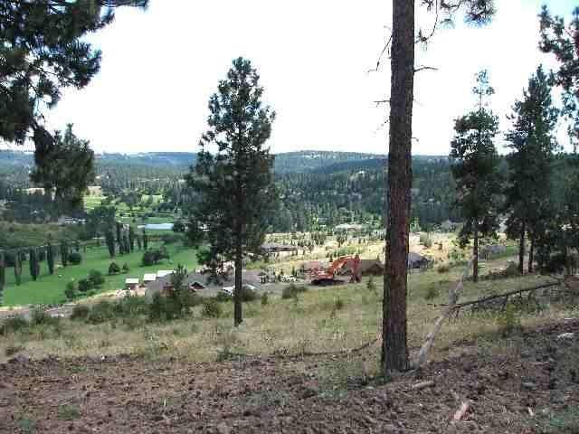 11703 Elk Run Ln - Photo 1