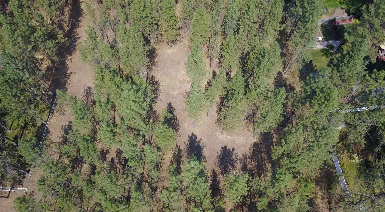 9032 Seven Mile Rd - Photo 1