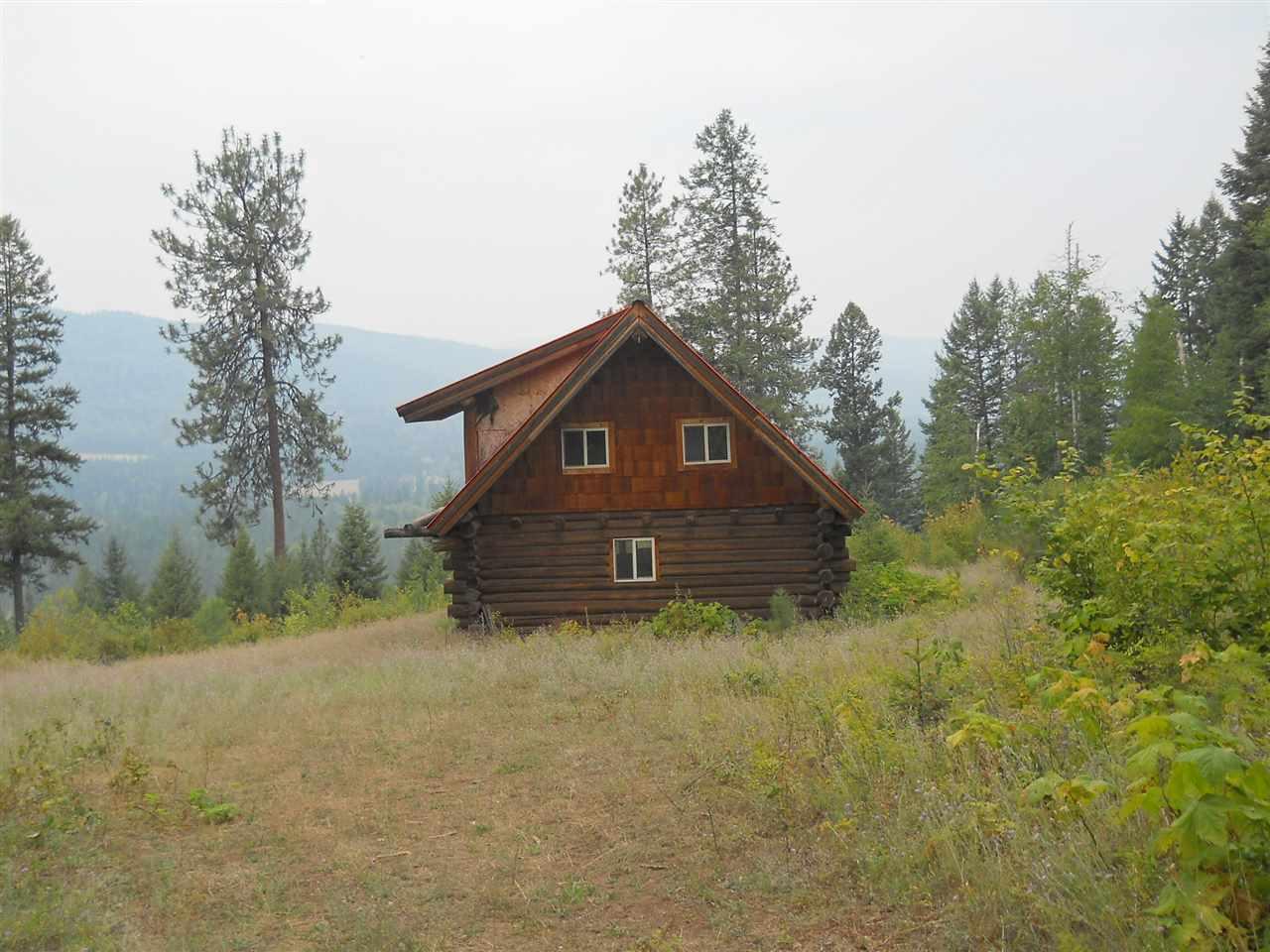1163 Catamount Ridge Ln - Photo 1