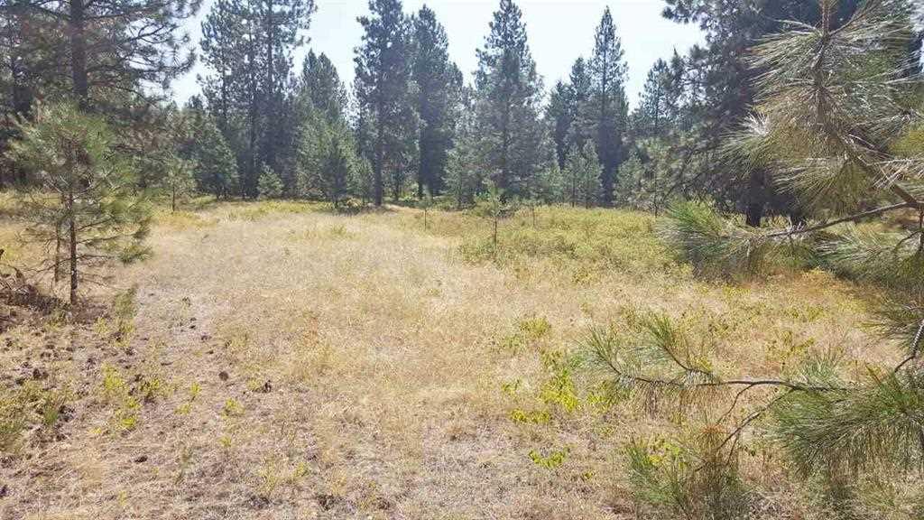 Lot 23 Robin Ln - Photo 1