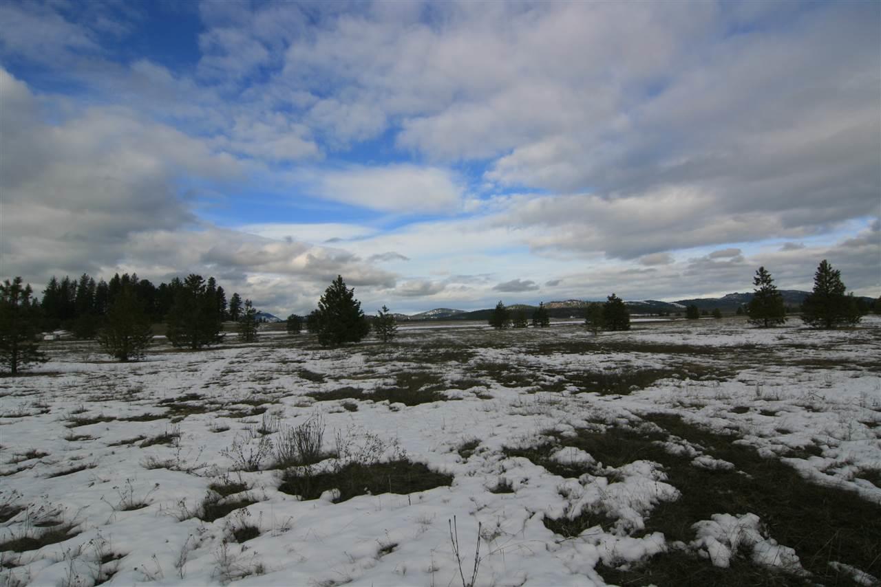 5317 Oregon Rd - Photo 1