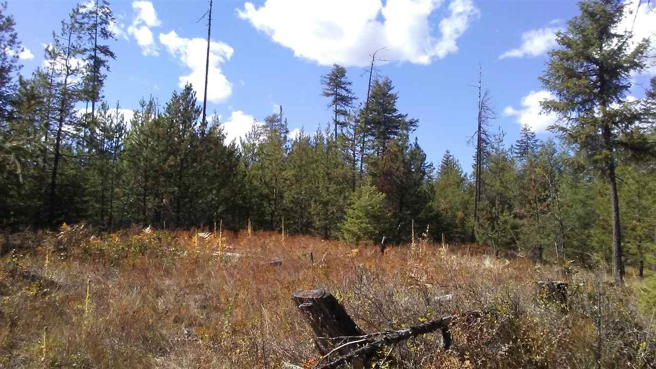 xxx Spring Water Ln - Photo 1