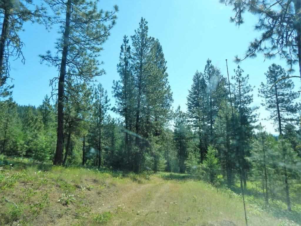 XX Silvercreek Rd - Photo 1