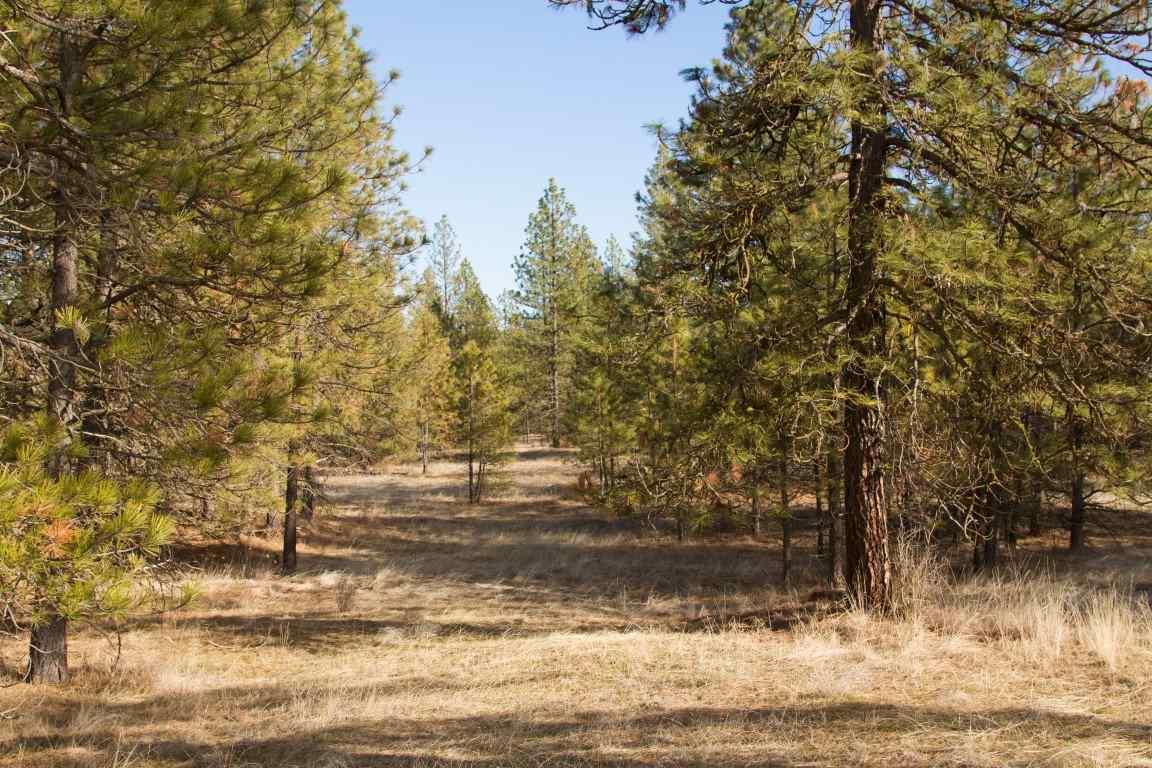 5305 Jergens Rd - Photo 1
