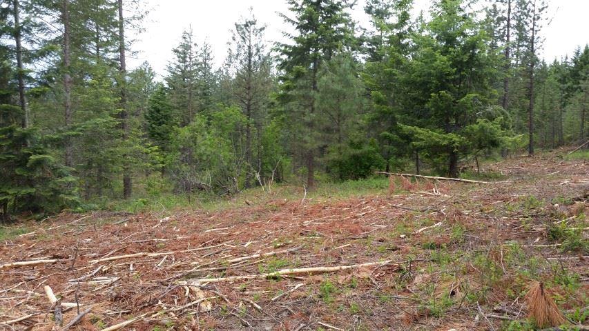 4775 Whittier Rd - Photo 1