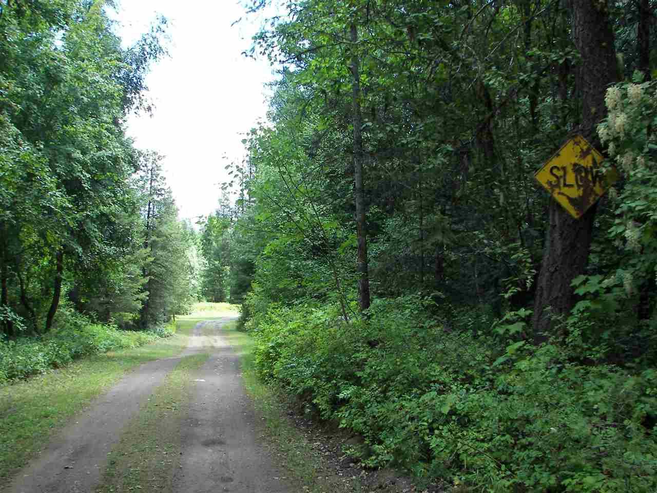1880 Blue Creek Rd - Photo 1