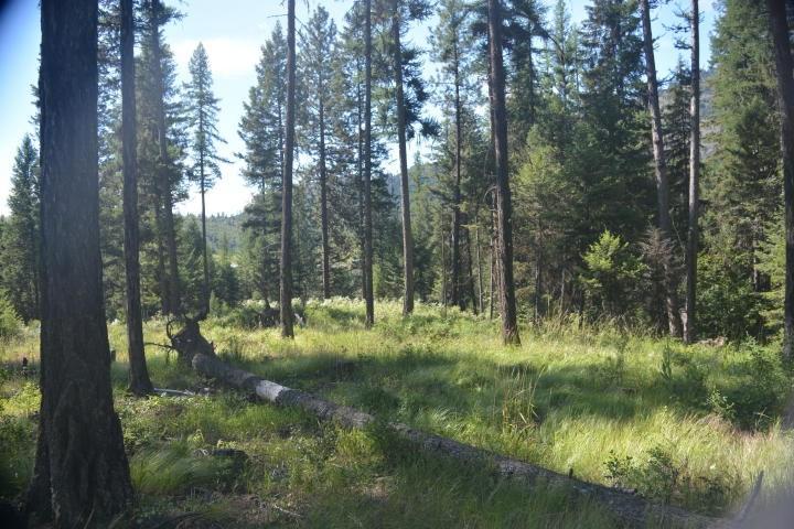 XXX Kompan Rd - Photo 1