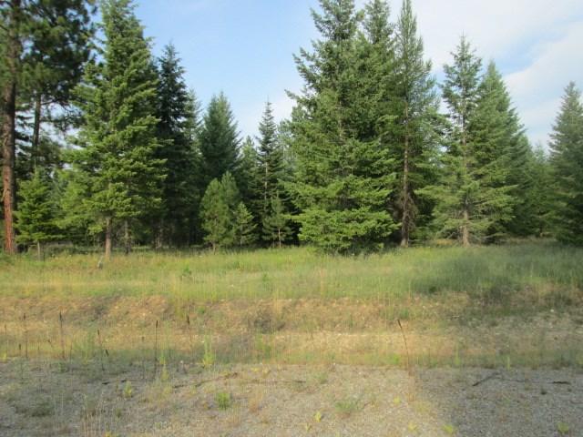 Lot 2 Douglas Clan Rd - Photo 1