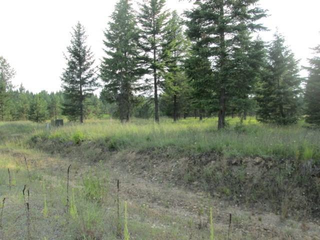 Lot 7 Douglas Clan Rd - Photo 1