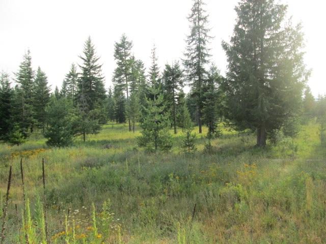 Lot 8 Douglas Clan Rd - Photo 1