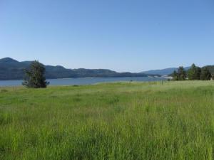 TBD Martin Creek Rd - Photo 1
