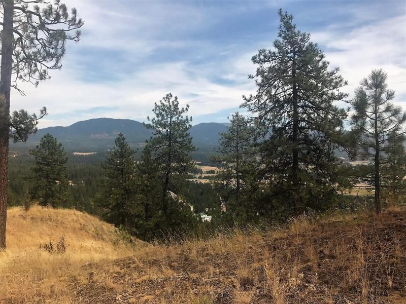 Lot 12 Trappers Loop - Photo 1