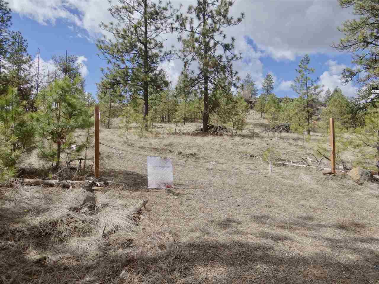 34645 Partridge Ln - Photo 1