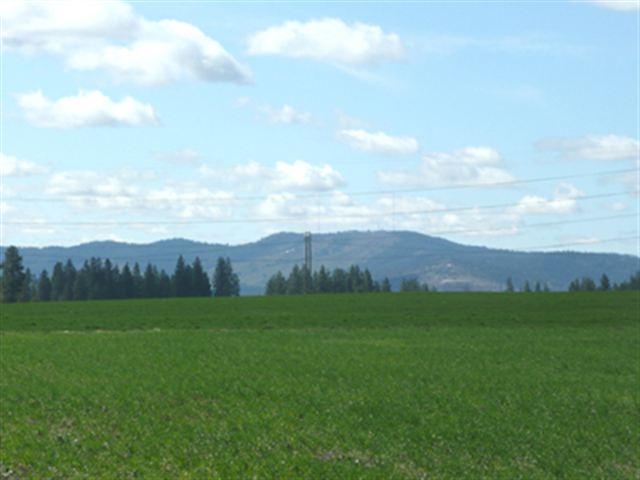 11222 Bigelow Gulch Rd - Photo 1