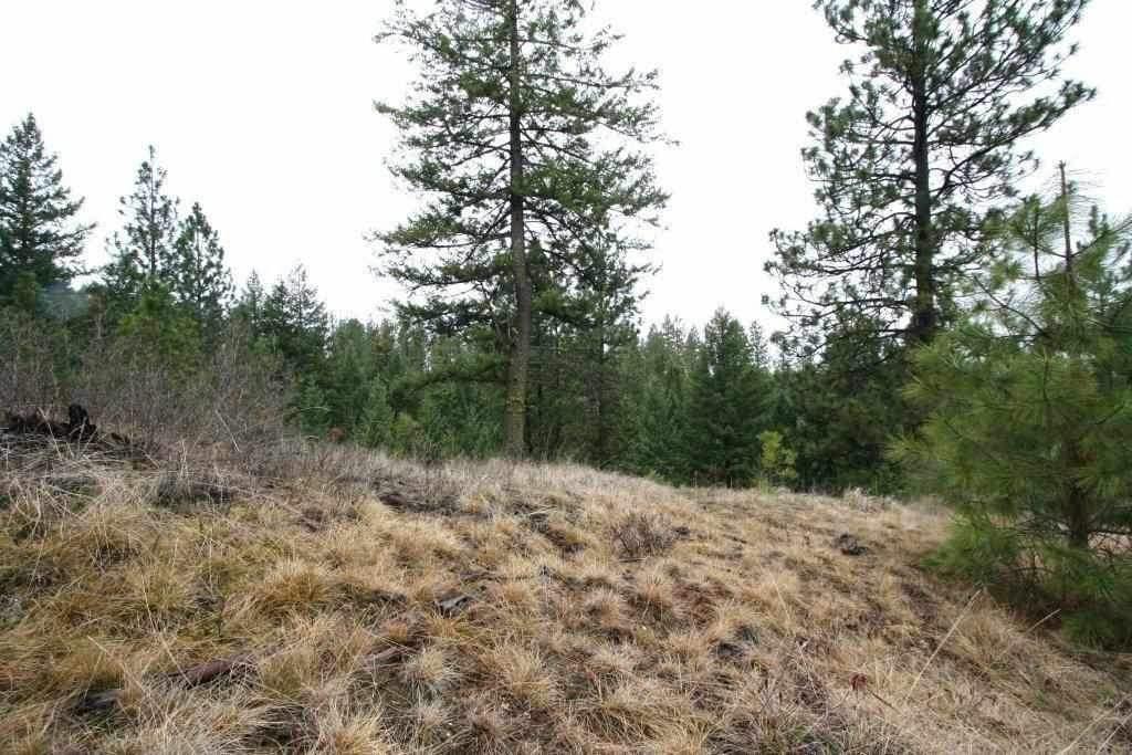 6714 Bridle (Approx.) Ln - Photo 1