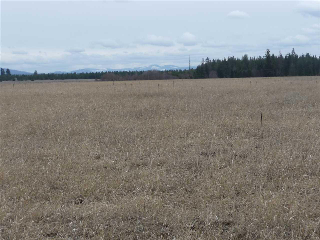0000 Short Rd - Photo 1