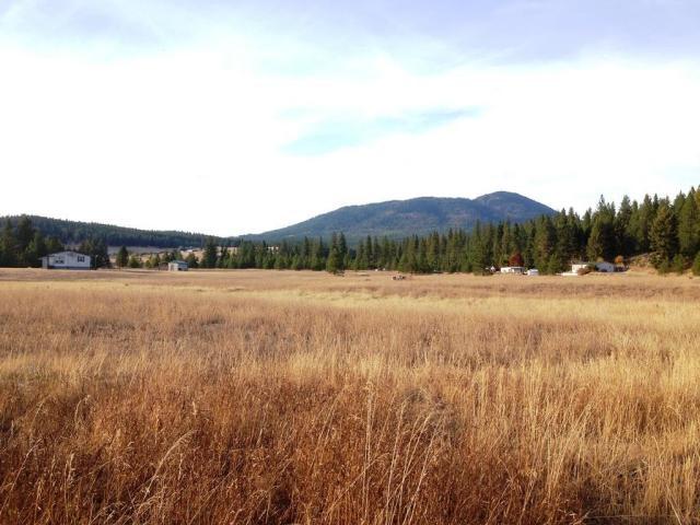 980 BLK Hwy 20 Hwy - Photo 1