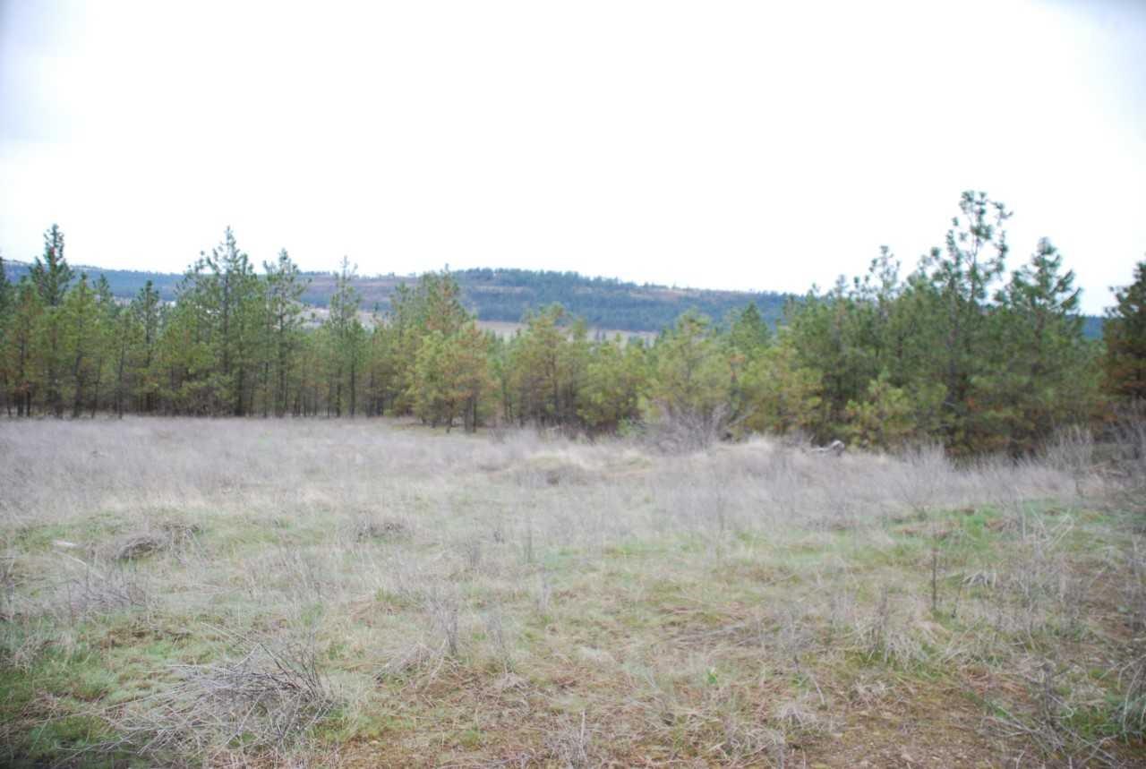 xxxx Four Mounds Rd - Photo 1